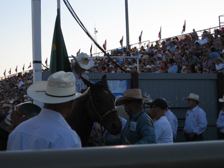 Dodge National Circuit Finals Rodeo Sr. Queen 2010: Caldwell Night ...